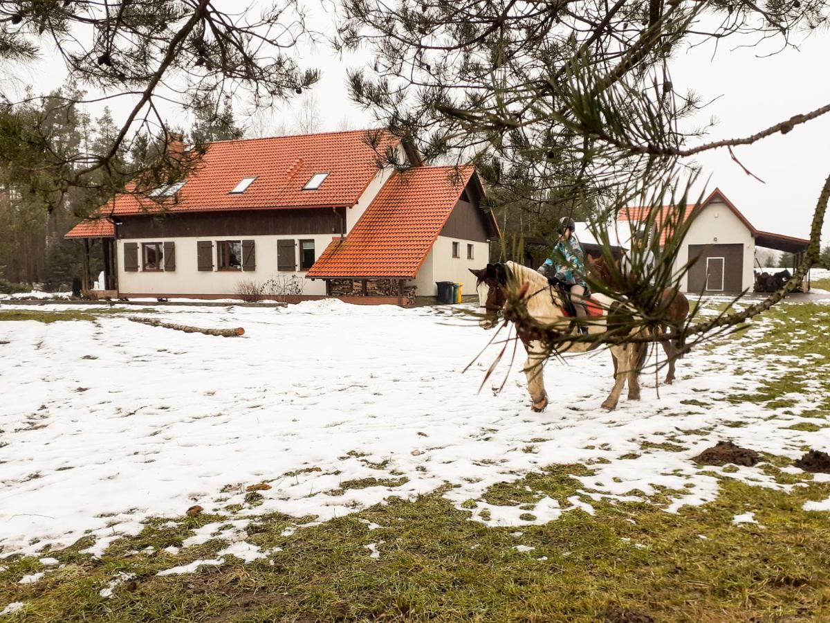 Przytulisko Stara Kiszewa Vila Exterior foto