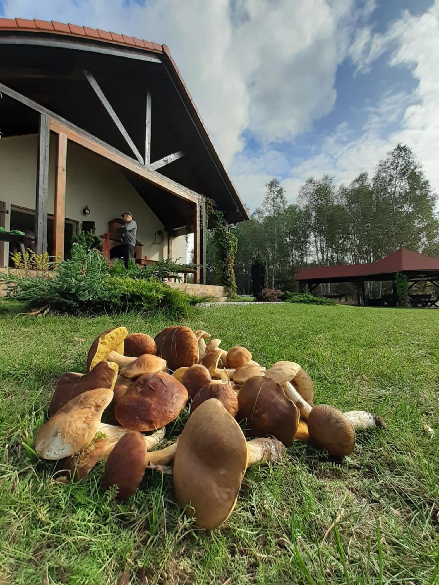 Przytulisko Stara Kiszewa Vila Exterior foto